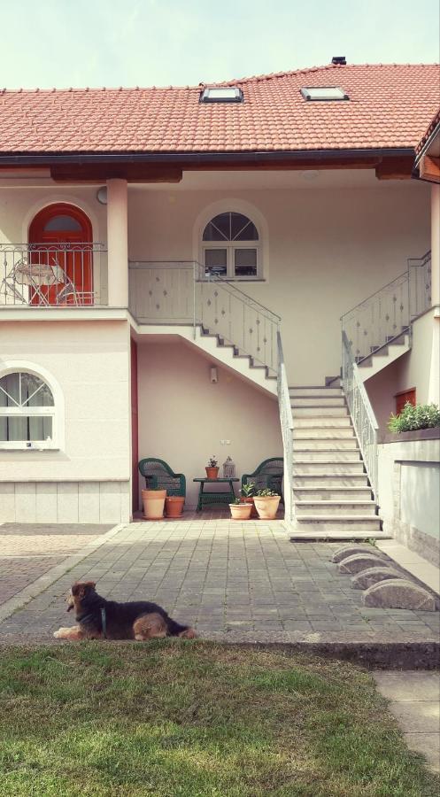 Prenocisca Angelin Hram, Tiny Apartments Markovec Exterior foto